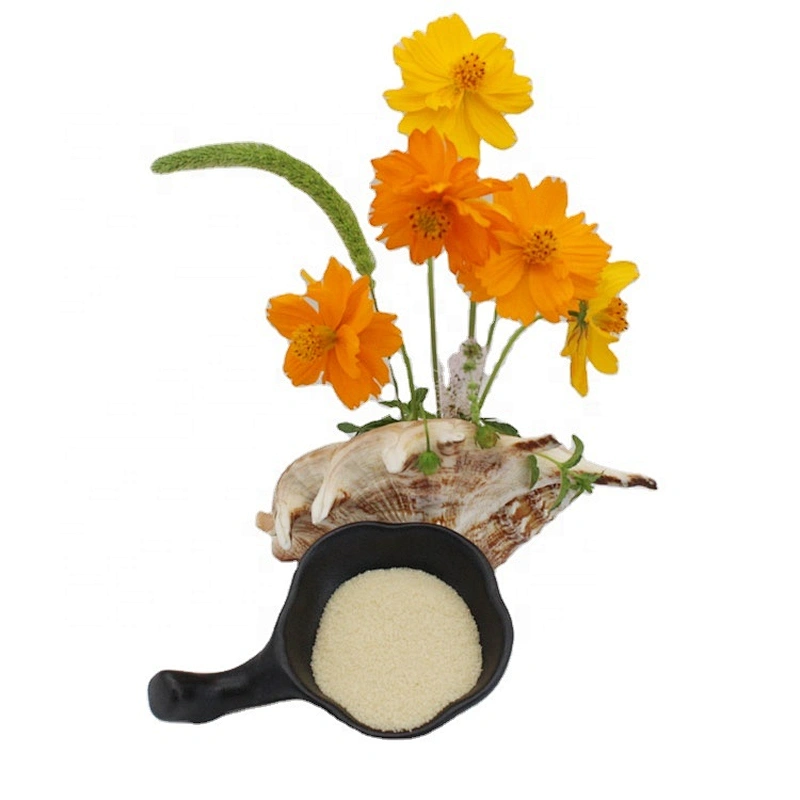 Halal beef gelatin bovine powder gelatin in stock for wholesale