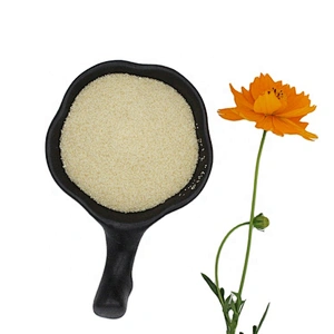 Halal beef gelatin bovine powder gelatin in stock for wholesale